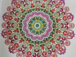 whatsapp bild 2023-07-12 um 18.57.37